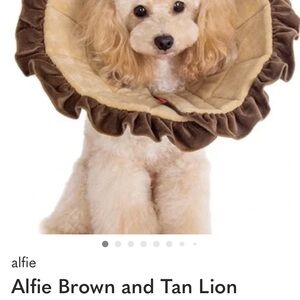 Brown and Tan Lion Mane for Dogs